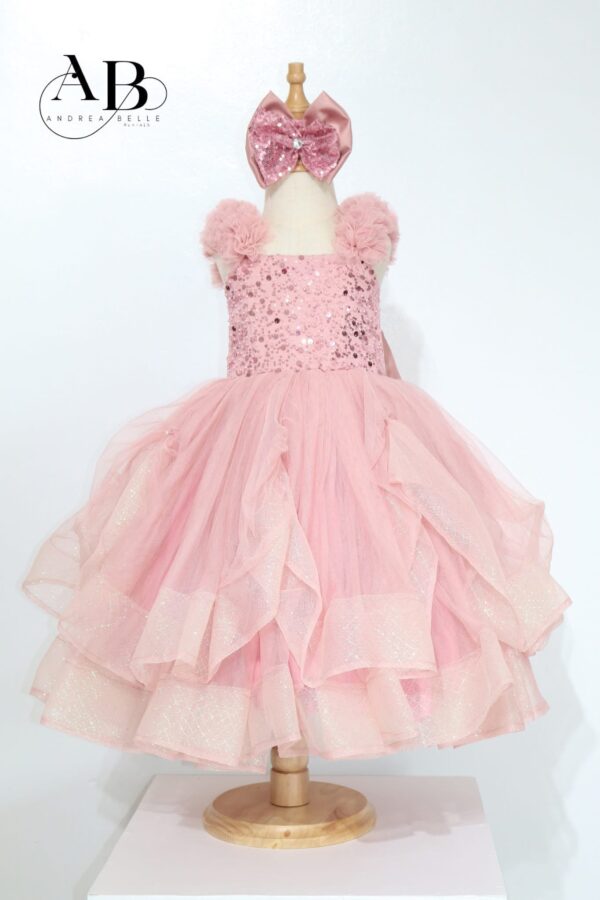 Ballet Blush Ball Dress